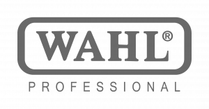 logo-Wahl